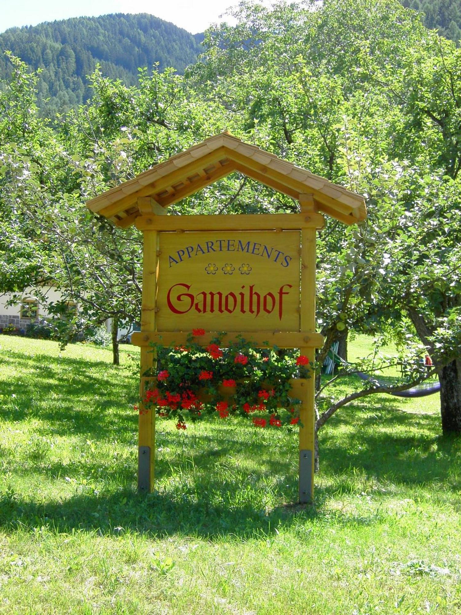 Ganoihof Apartments Фунес Экстерьер фото